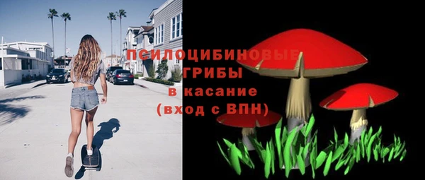 гашик Балабаново