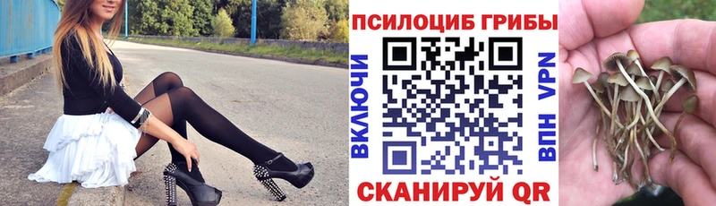 Галлюциногенные грибы прущие грибы  где купить наркотик  Городище 
